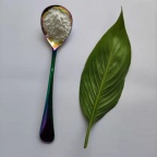 高纯纳米氧化镁分散液 催化剂阻燃材料用
